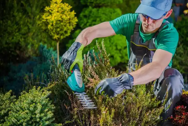 landscaping services Medina